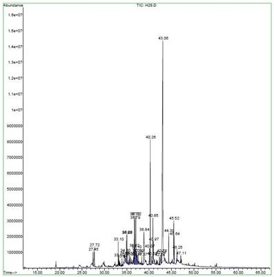 Identification of the chemical profile and evaluation of the antimicrobial effect of Eryngium billardieri Delar essential oil component against bacterial species of agricultural and food interest